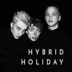 Hybrid Holiday 2020 FAEM sw